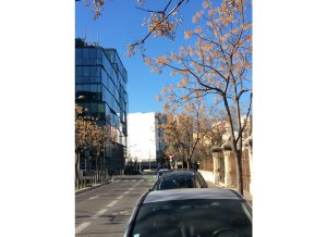 Place de parking à louer : 54 Rue de Ruffi, Marseille, France